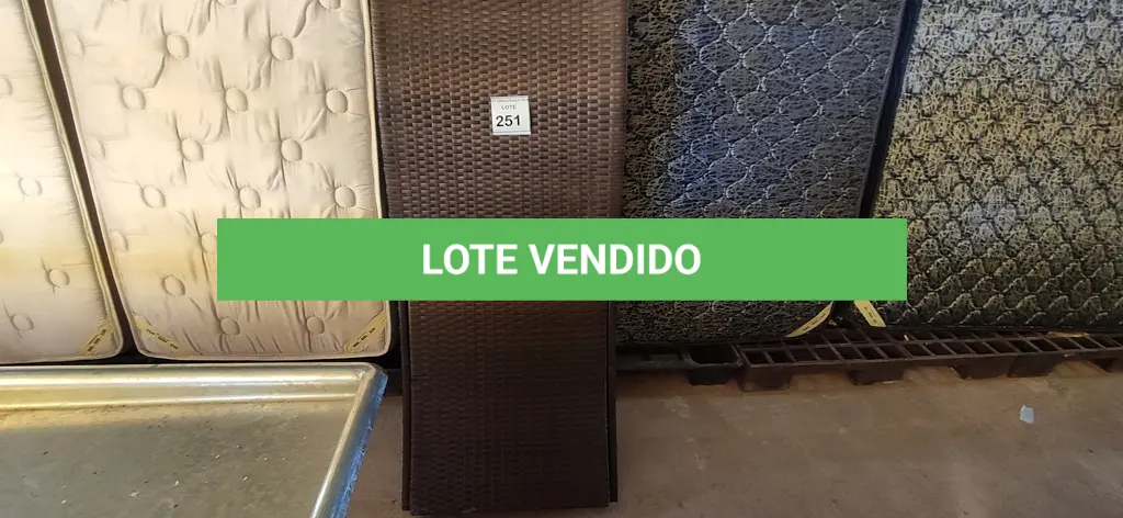 LOTE 251