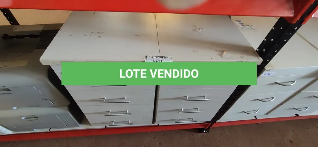 LOTE 141