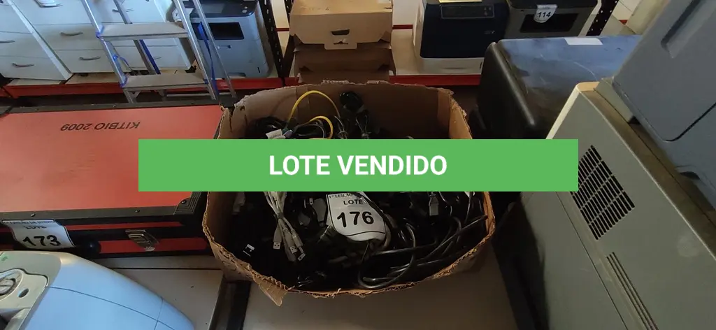 LOTE 176