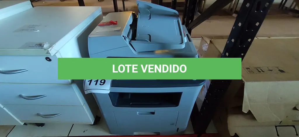 LOTE 119