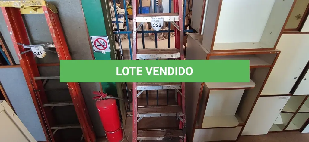 LOTE 223