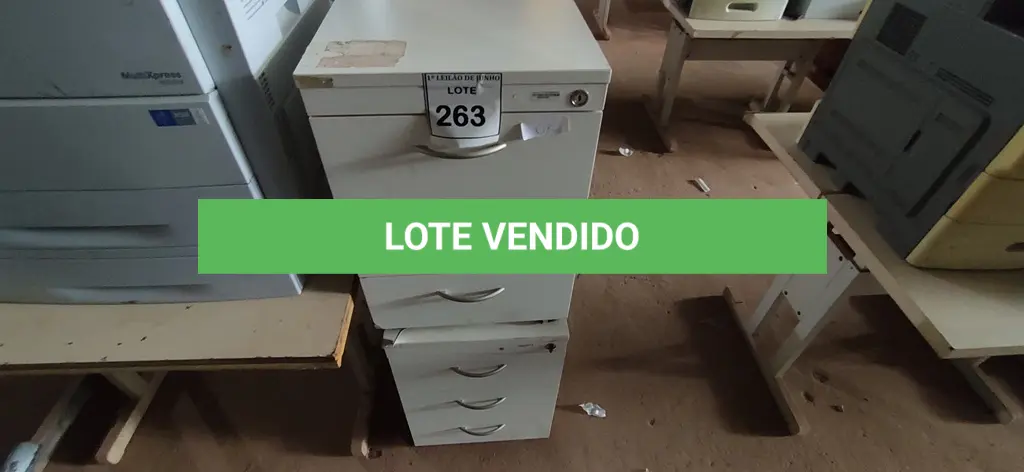 LOTE 263