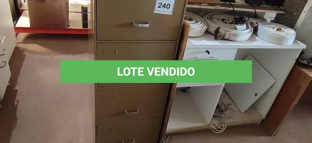LOTE 240