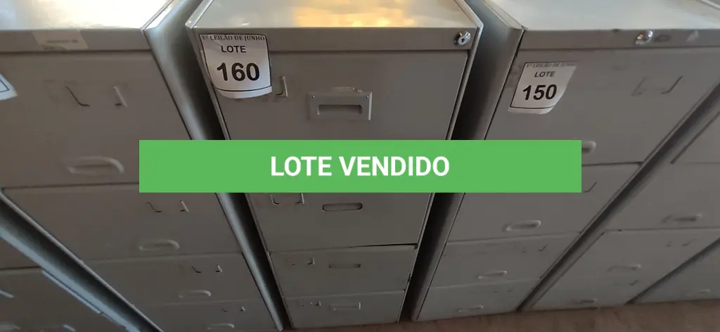 LOTE 160