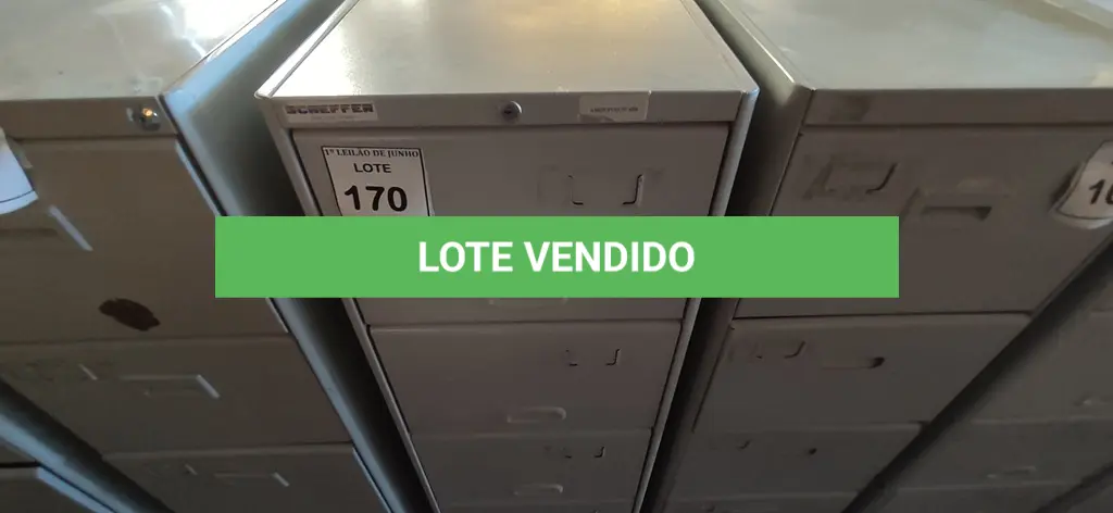 LOTE 170