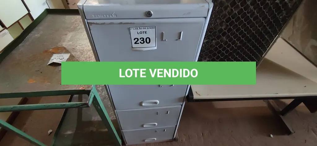 LOTE 230
