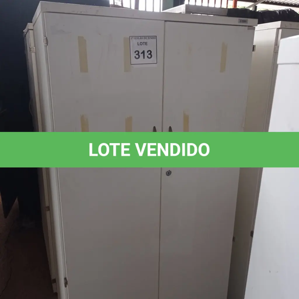LOTE 313