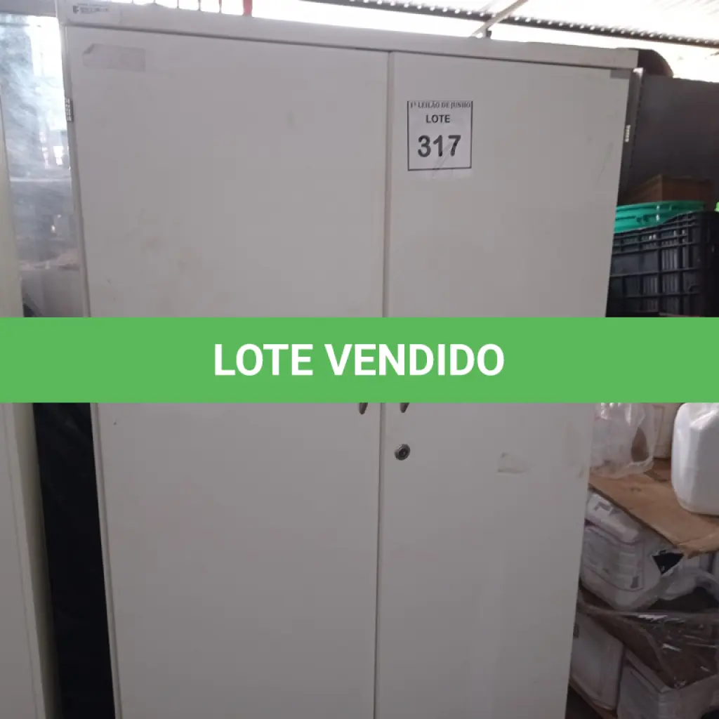 LOTE 317