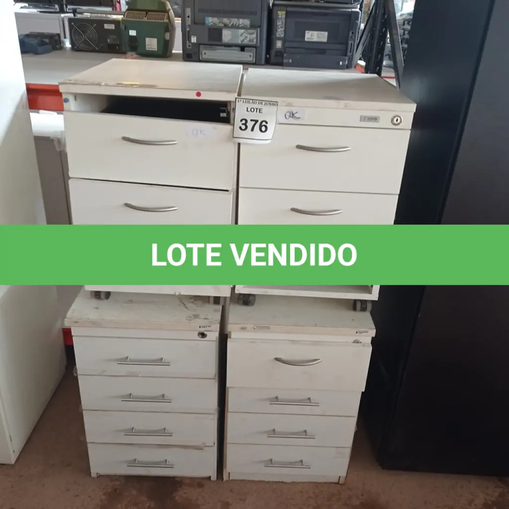 LOTE 376