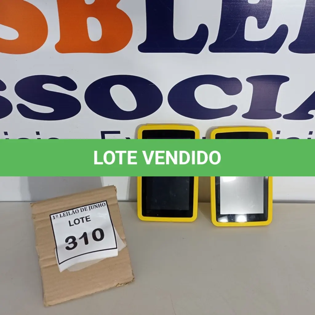 LOTE 310