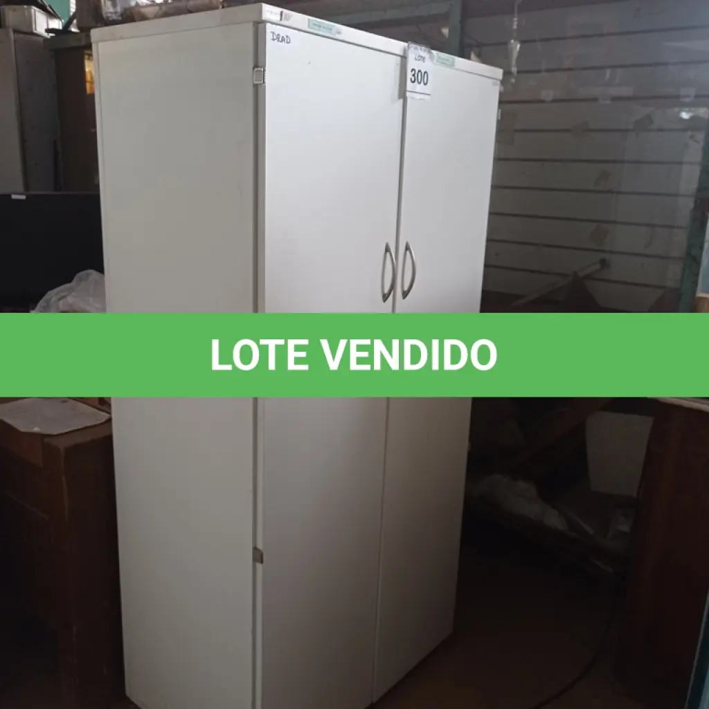 LOTE 300