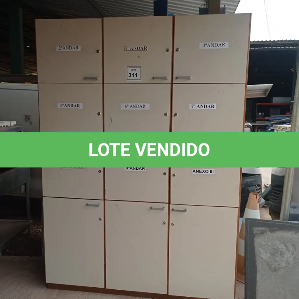 LOTE 311