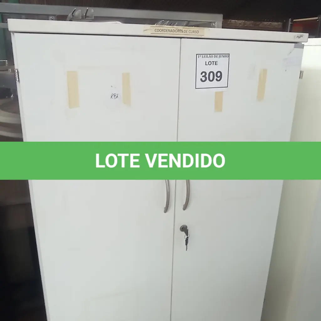 LOTE 309