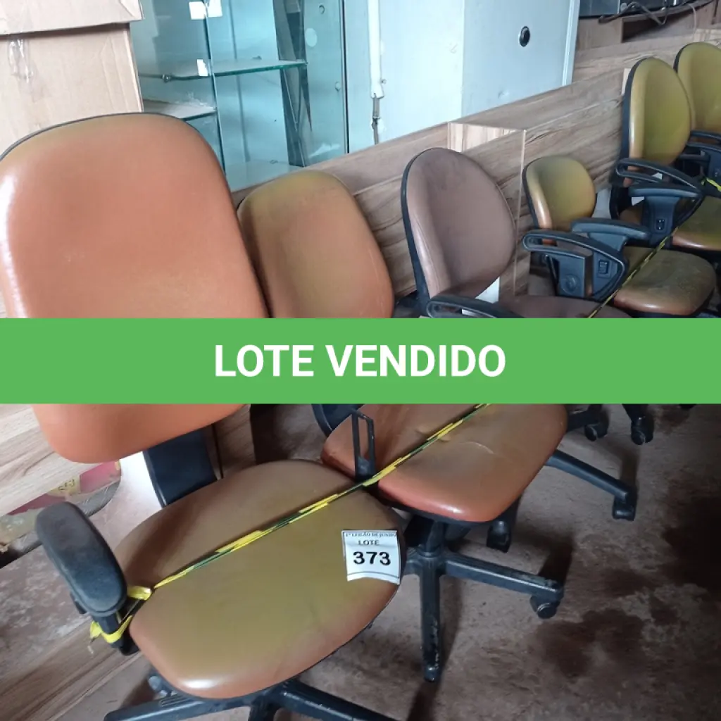 LOTE 373
