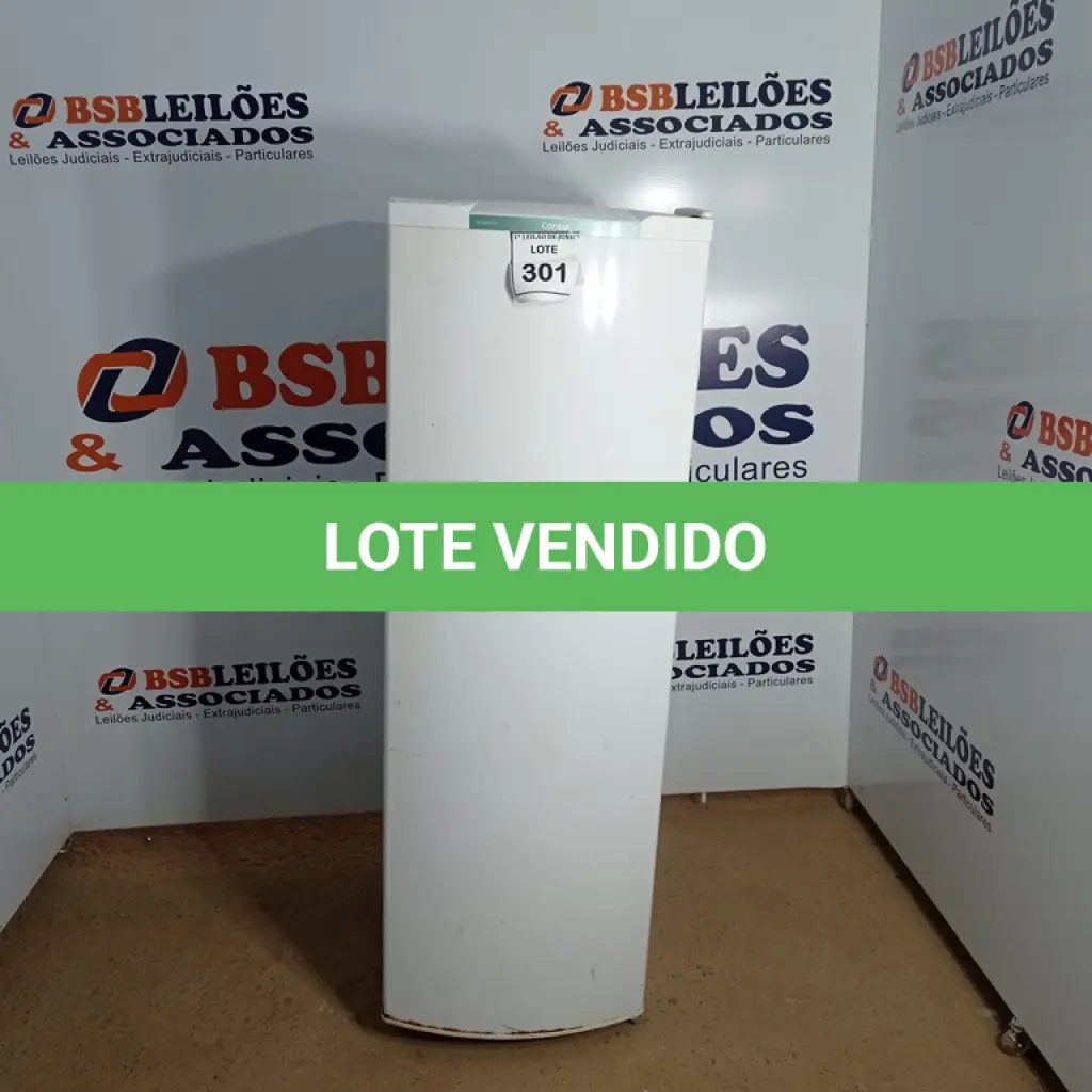 LOTE 301