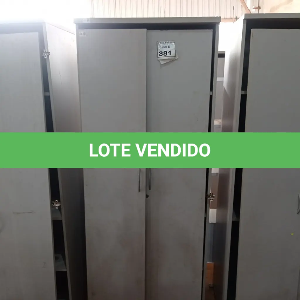 LOTE 381