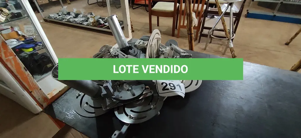 LOTE 291