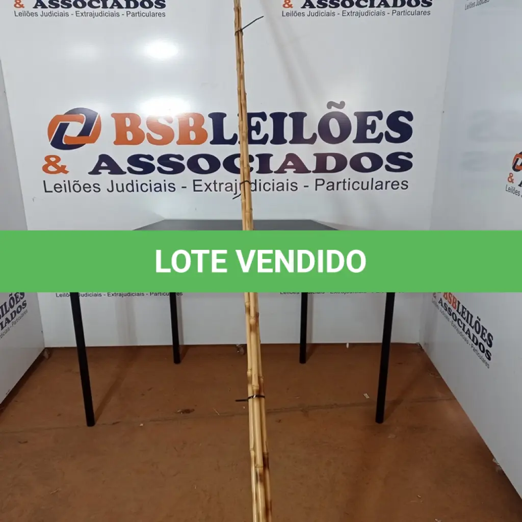 LOTE 452