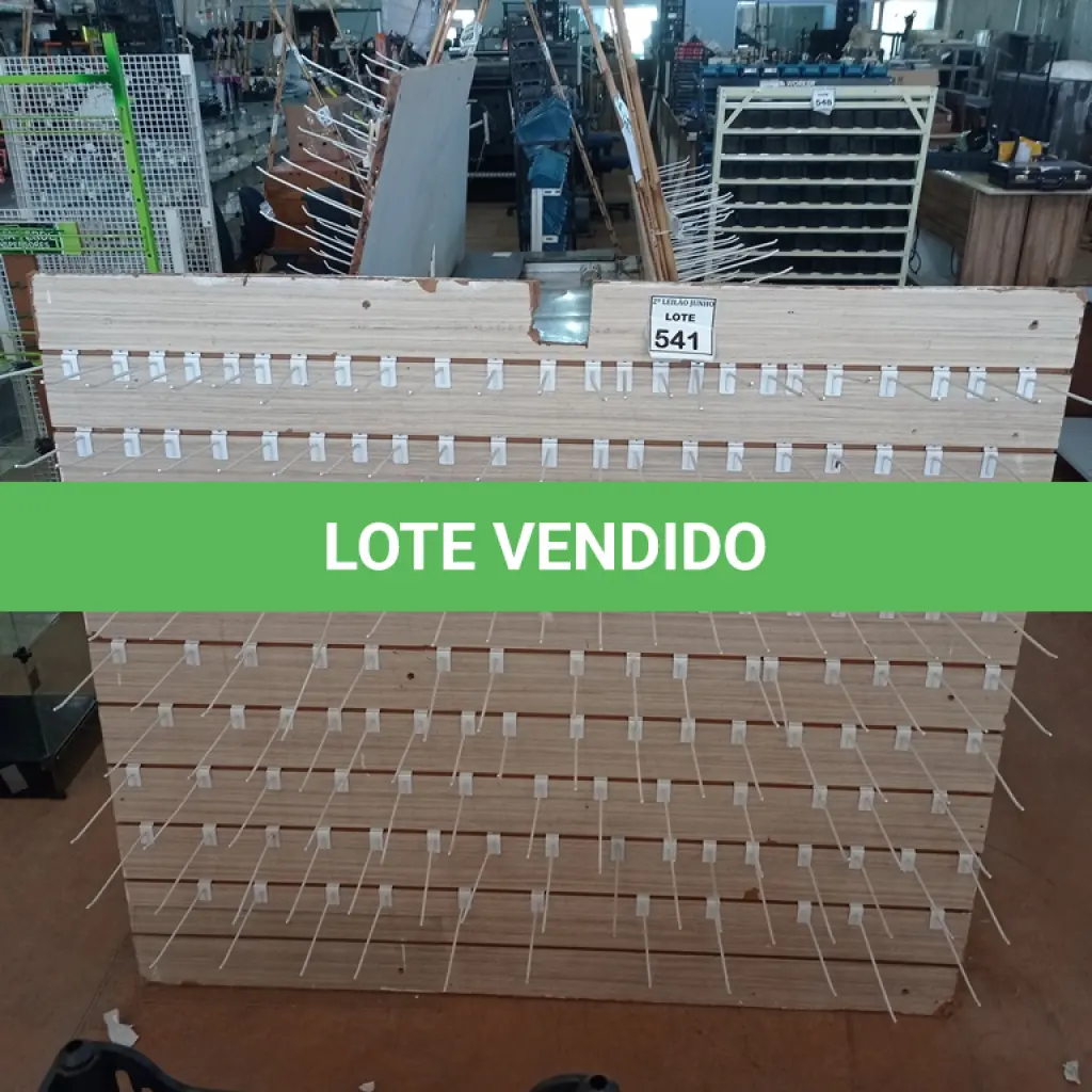 LOTE 541