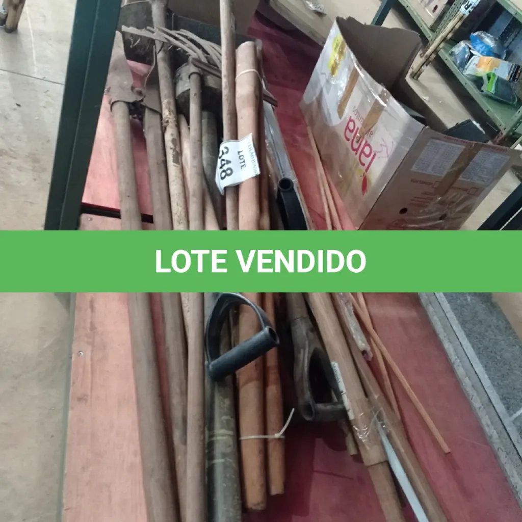LOTE 348