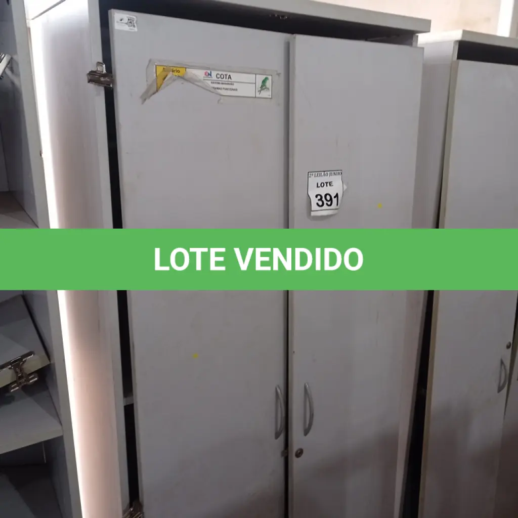 LOTE 391
