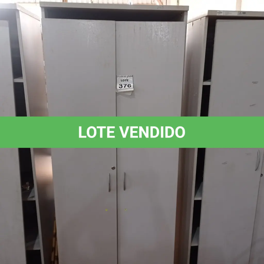 LOTE 376
