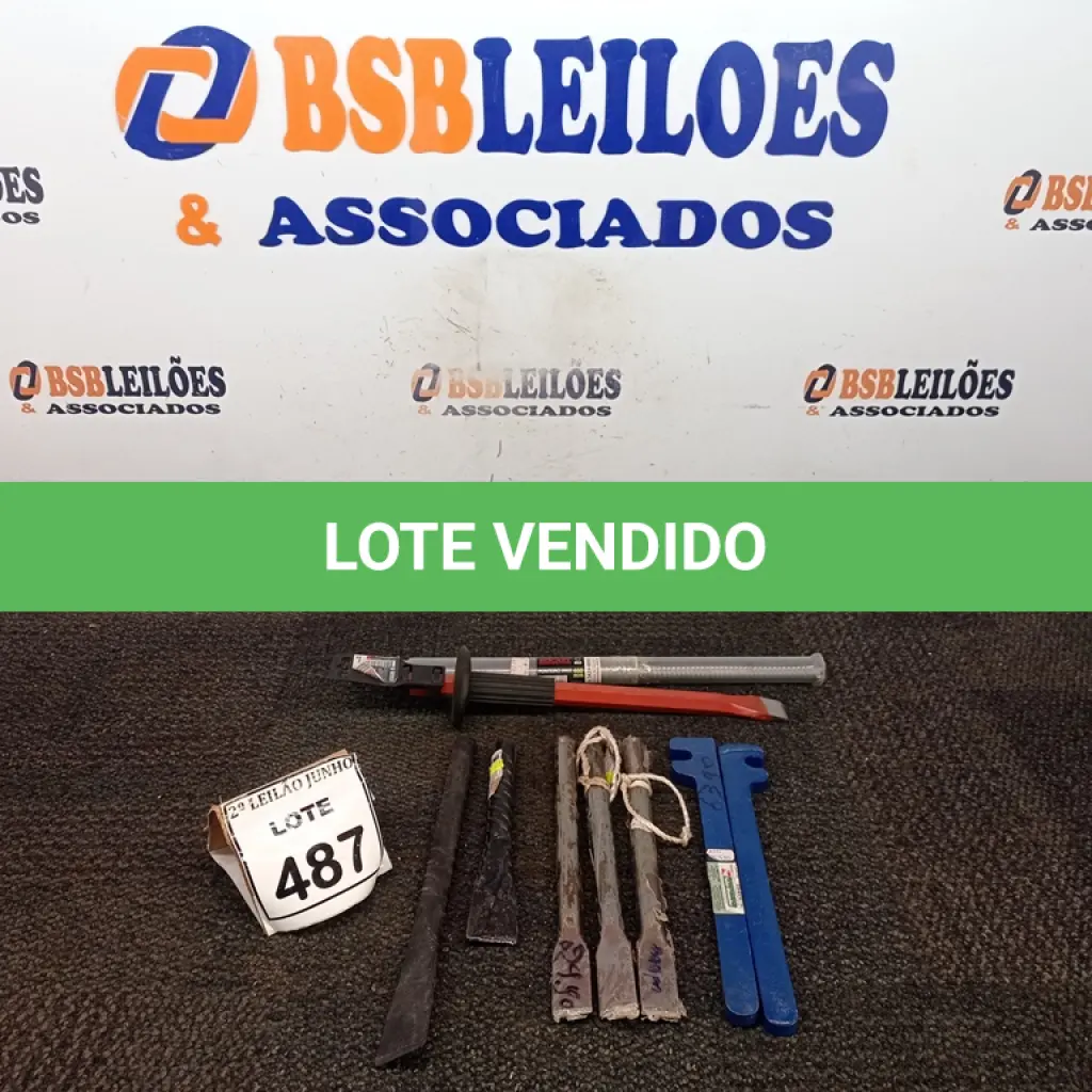 LOTE 487