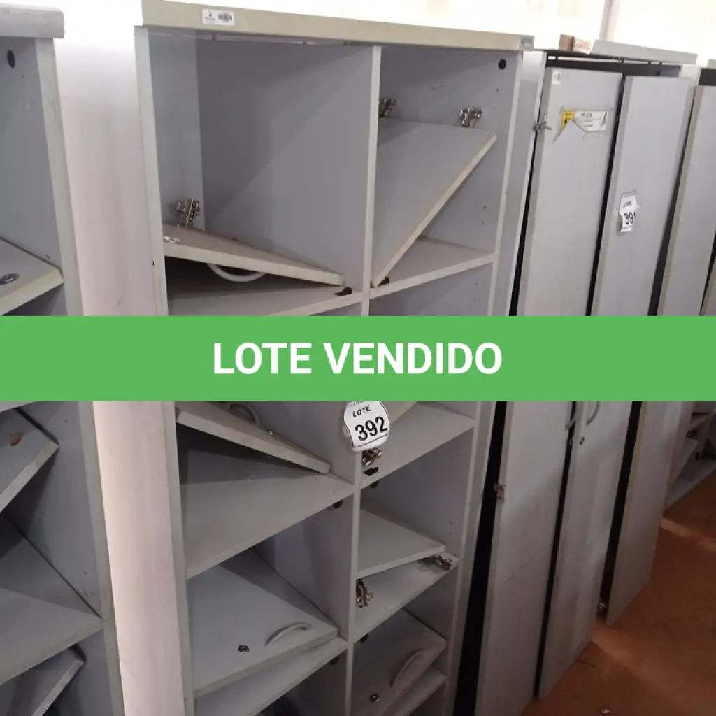 LOTE 392