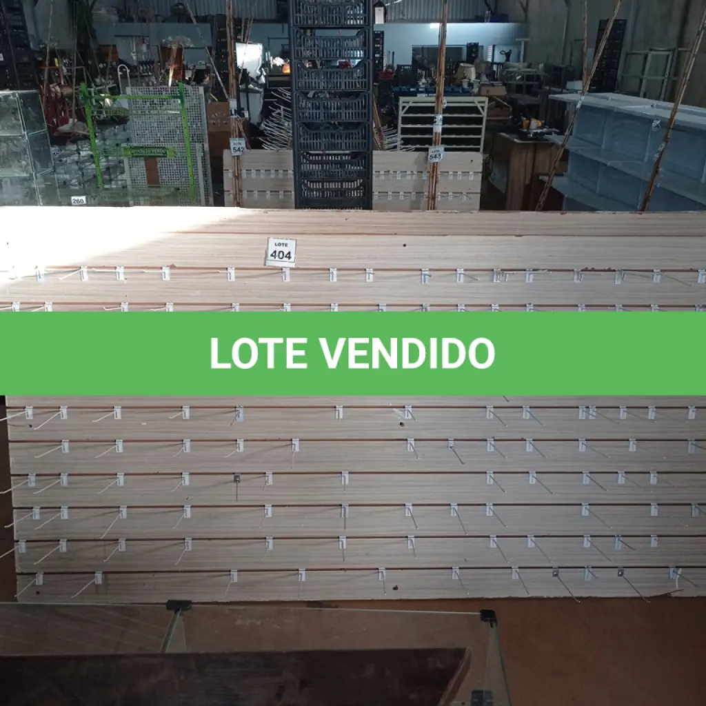 LOTE 404
