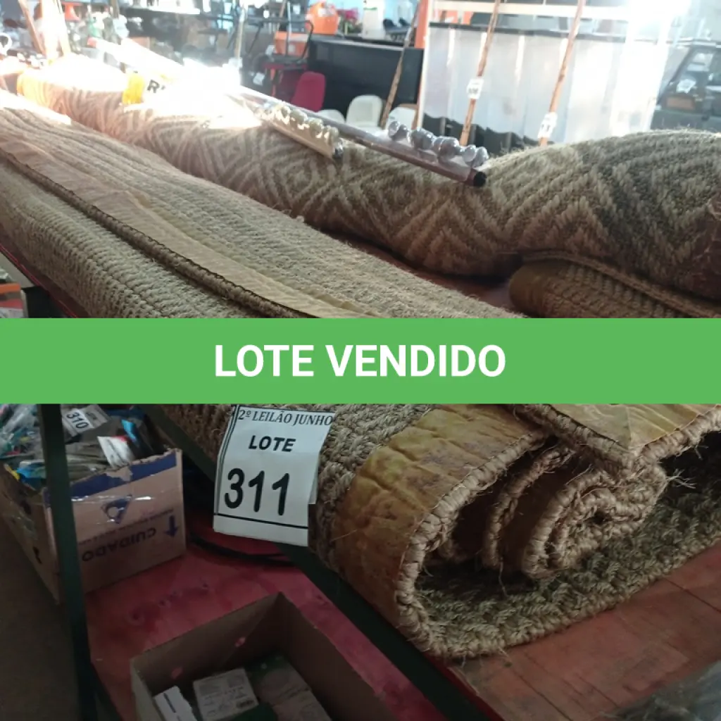 LOTE 311