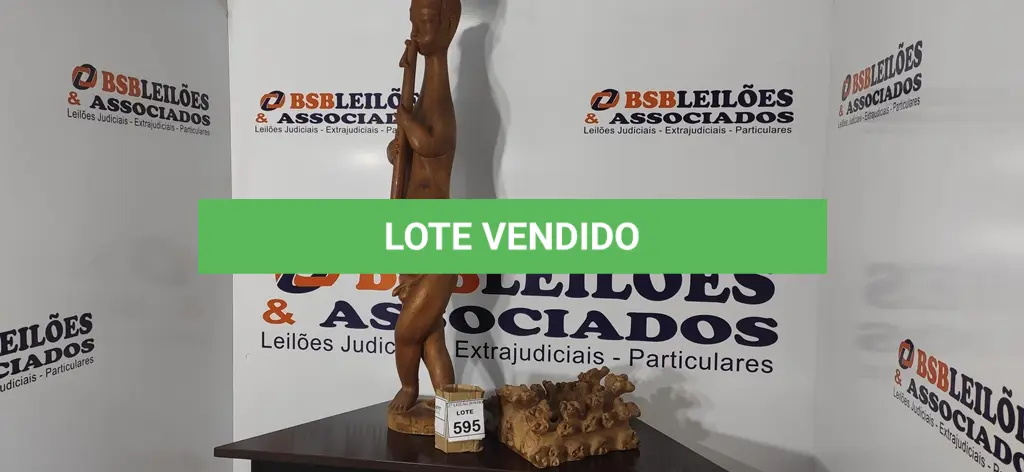 LOTE 595