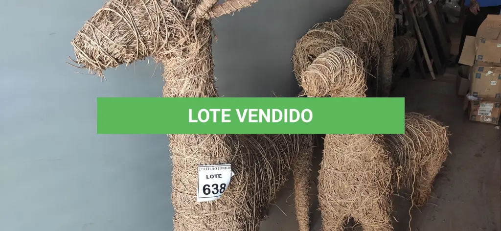LOTE 638