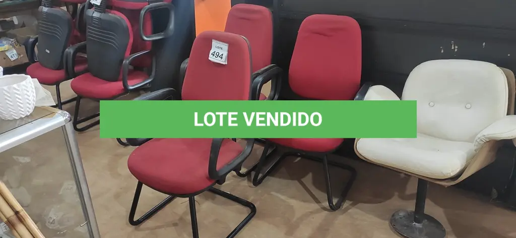 LOTE 494