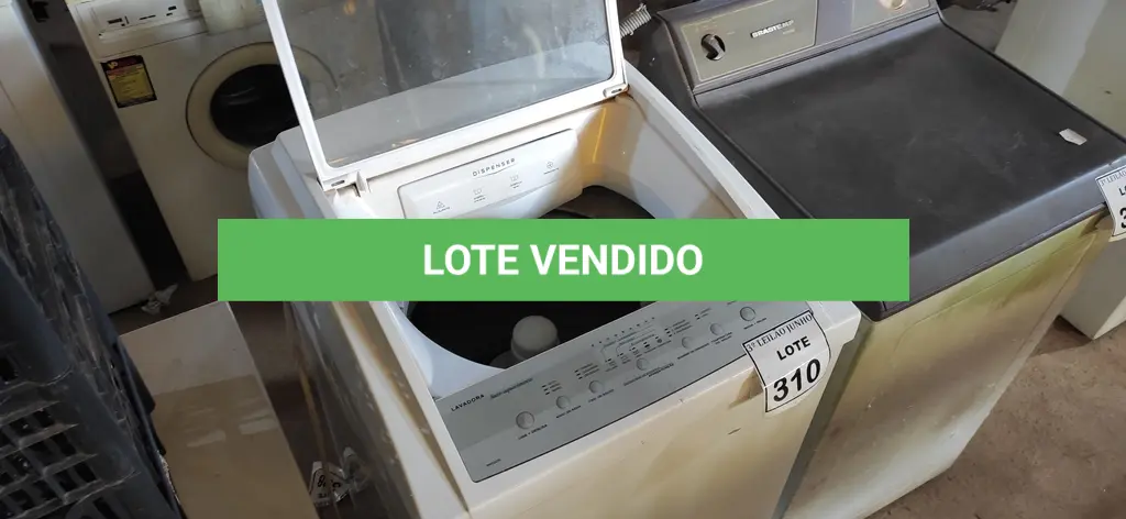 LOTE 310