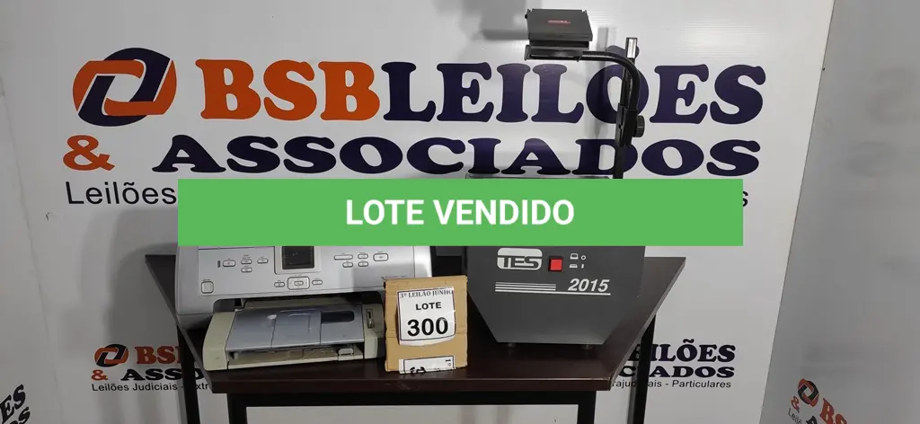 LOTE 300