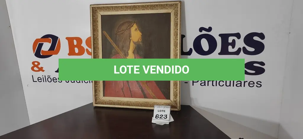 LOTE 623