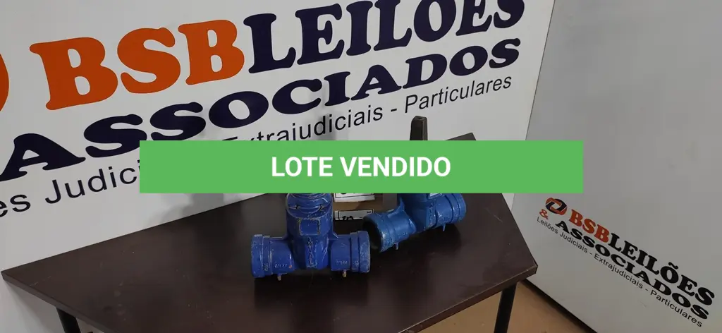 LOTE 317