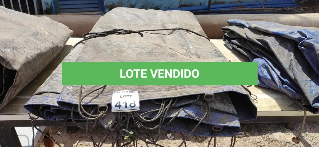 LOTE 418