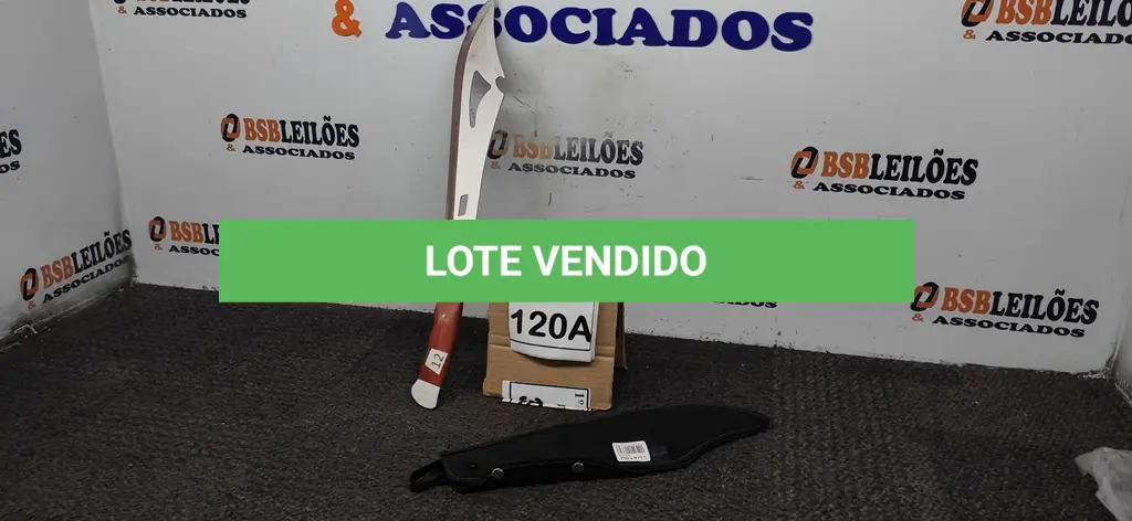 LOTE 120
