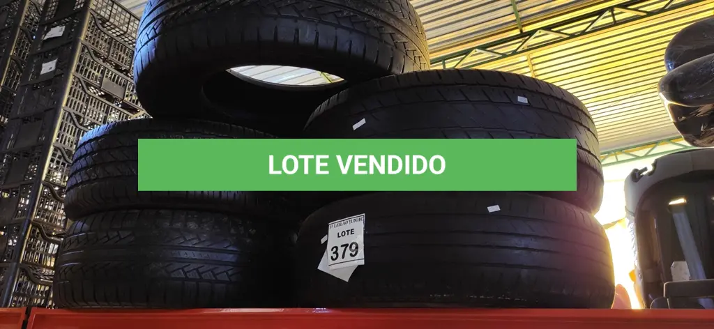 LOTE 379