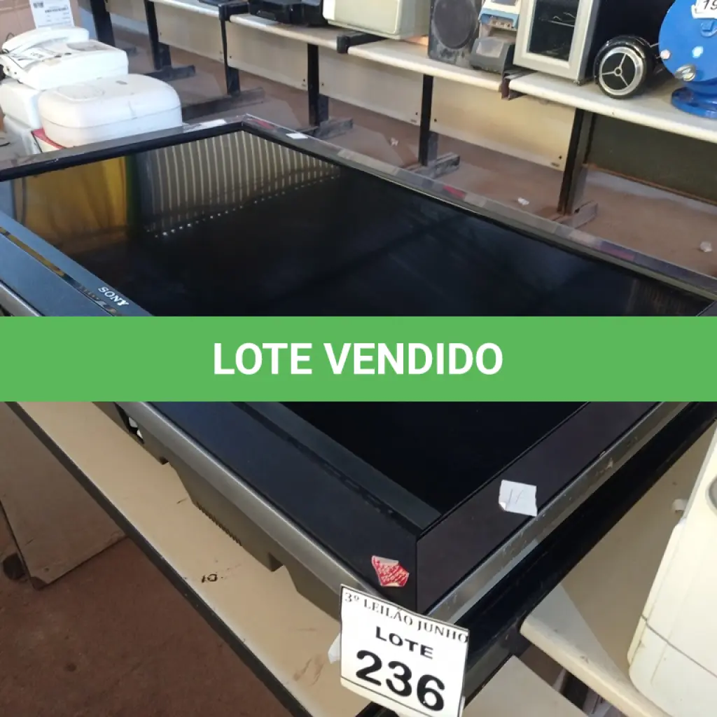 LOTE 236
