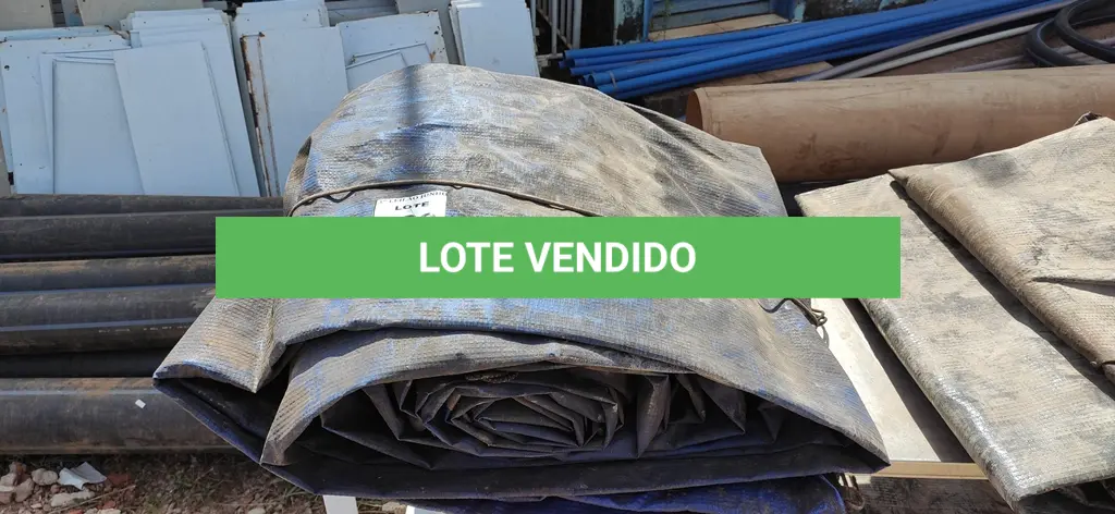 LOTE 420