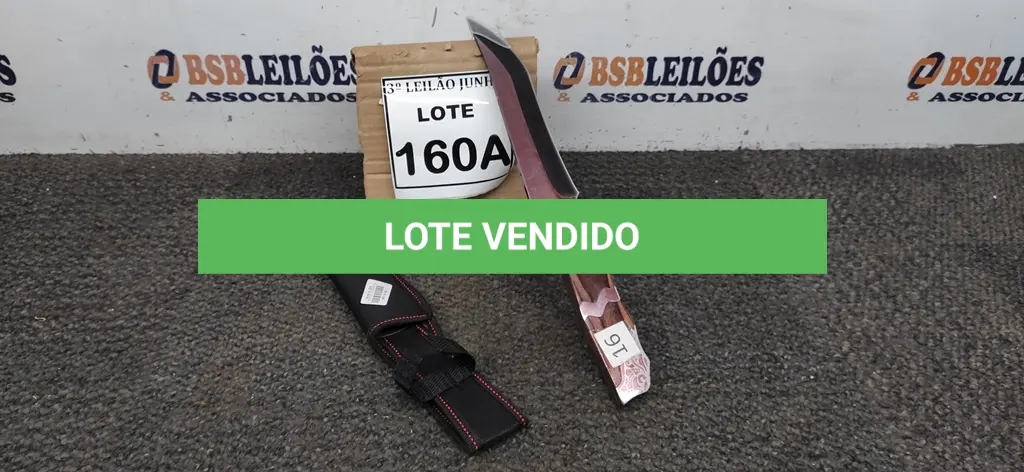 LOTE 160