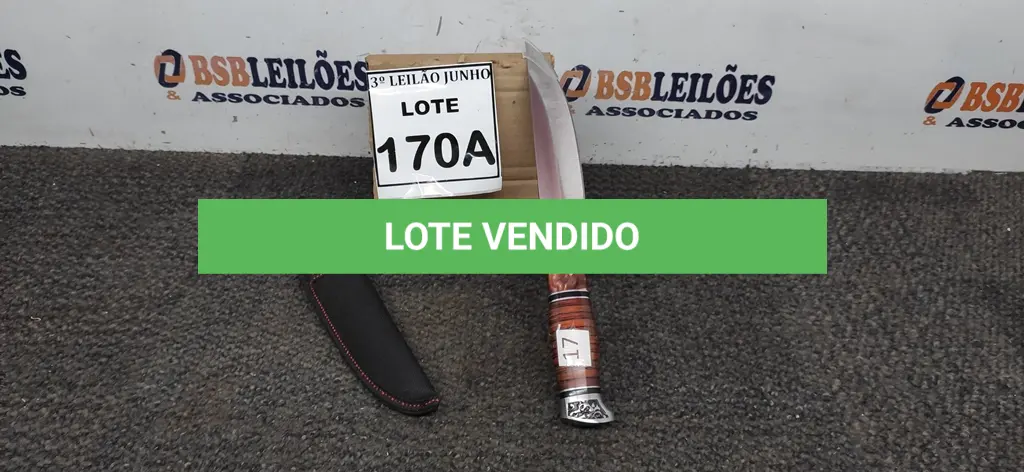 LOTE 170