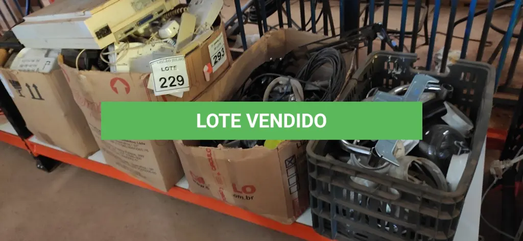 LOTE 229