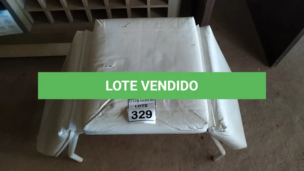 LOTE 329