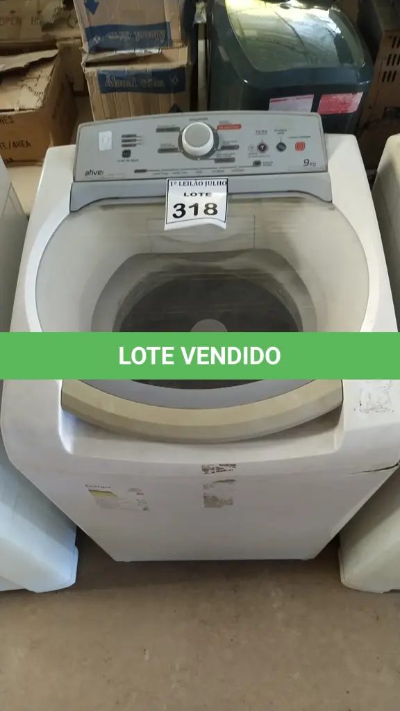 LOTE 318