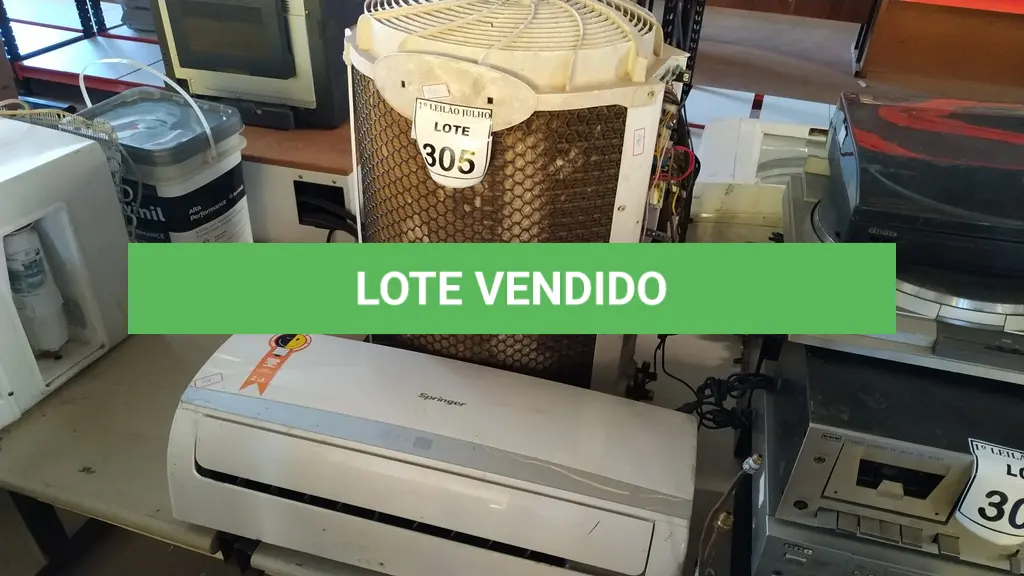 LOTE 305