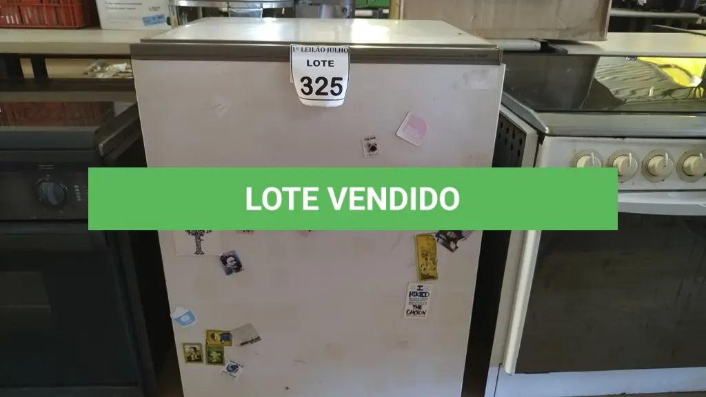 LOTE 325