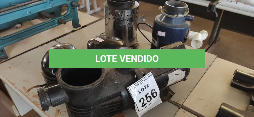LOTE 256